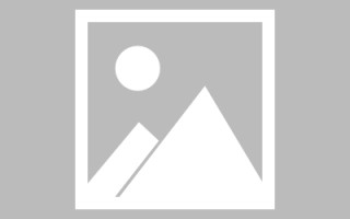 定西新区景区网站建设（in art criticism,you must assume）